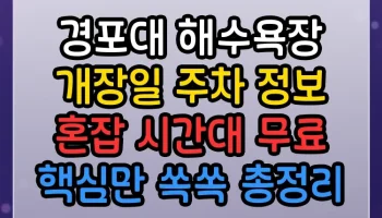 경포대 해수욕장 개장일 주차 정보 혼잡 시간대 무료 핵심만 쏙쏙 총정리 경포대 해수욕장 개장일 주차 정보 혼잡 시간대 무료 썸네일