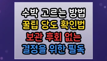 수박 고르는 방법 꿀팁 당도 확인법 보관 후회 없는 결정을 위한 필독 가이드 수박 고르는 방법 꿀팁 당도 확인법 보관 썸네일